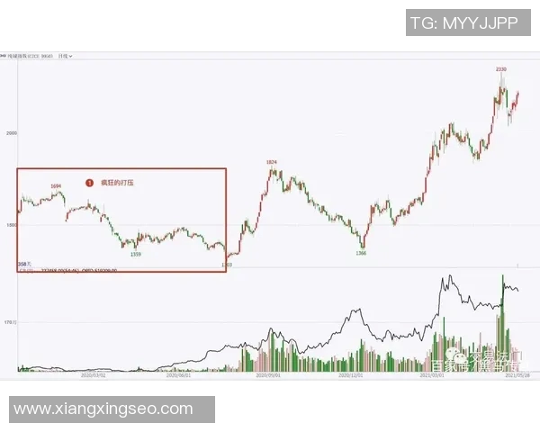 赛后复盘：深圳排球队与成都排球队状态对比分析与未来展望